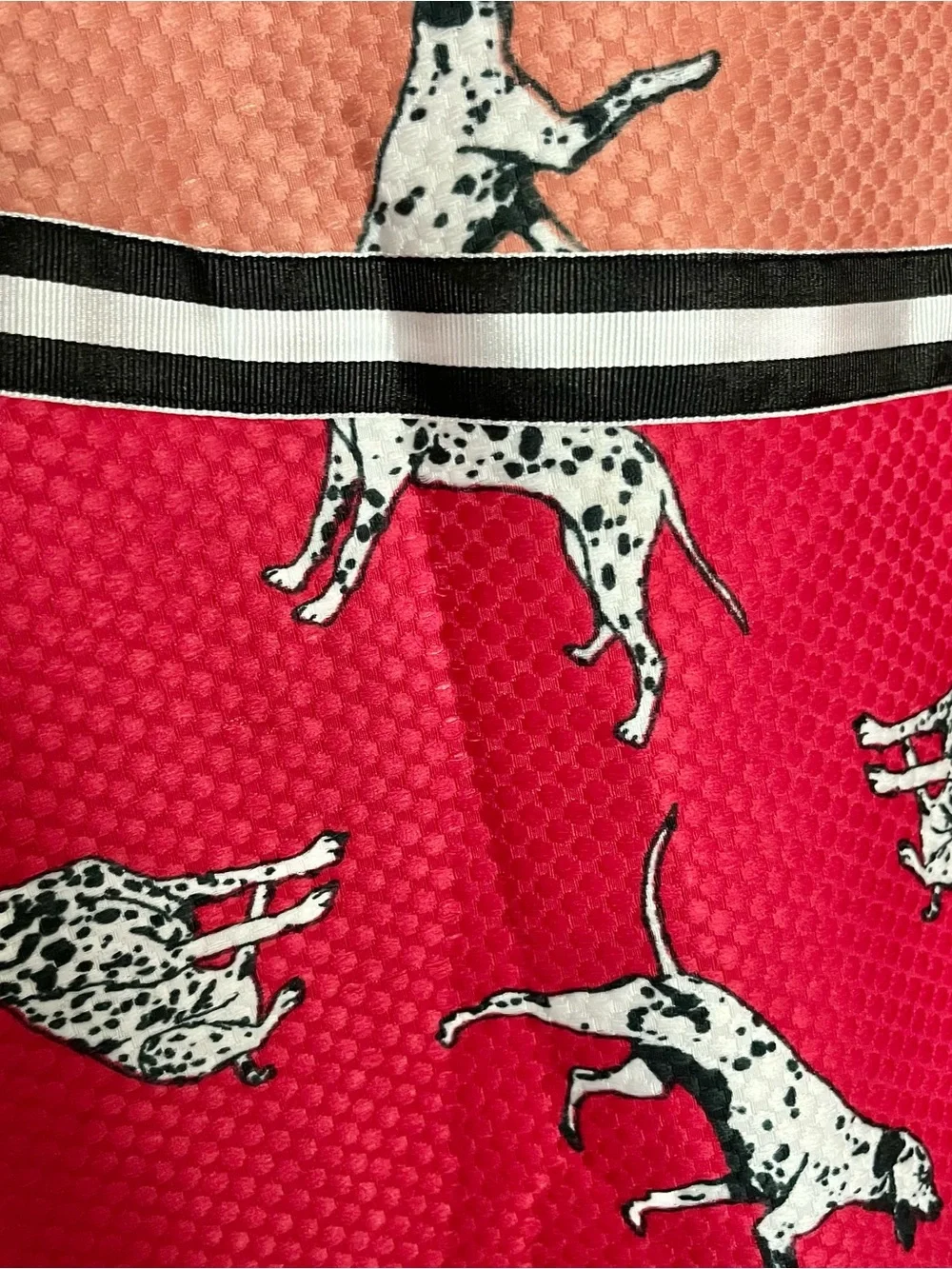 Hutch Dalmatian Print Two-Tone A-Line Skirt in Coral and Red